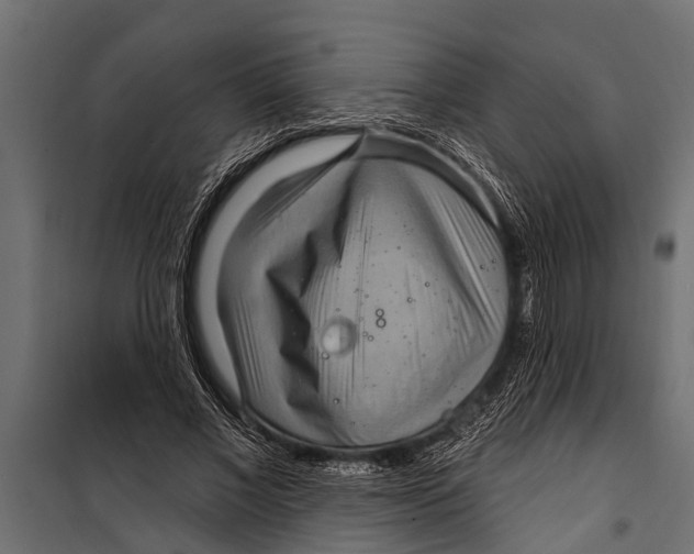X0000099960685200806201338