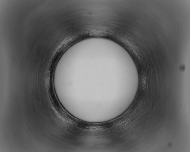 X0000099960686200806201338