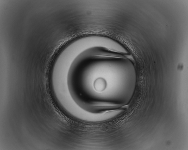 X0000099960688200806201338