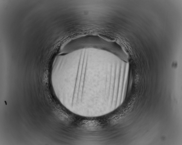 X0000099960689200806201338