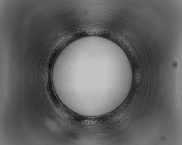 X0000099960690200806201338