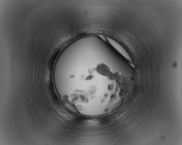 X0000099960692200806201338