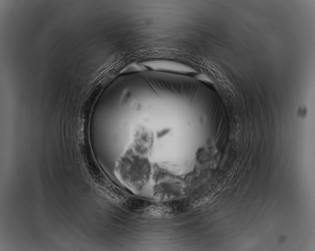X0000099960696200806201338