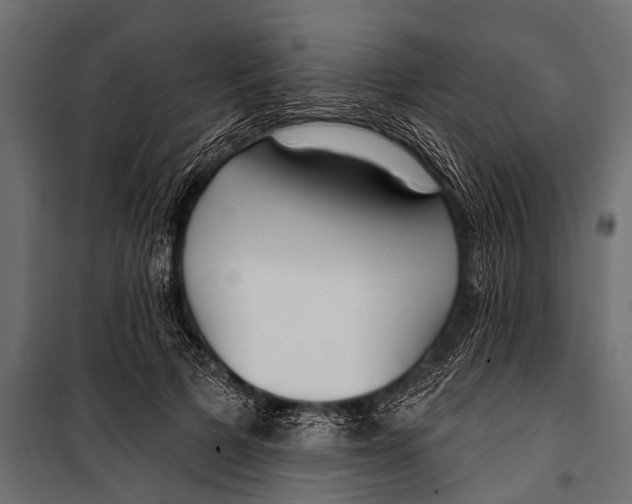 X0000099960697200806201338