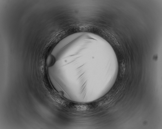 X0000099960698200806201338