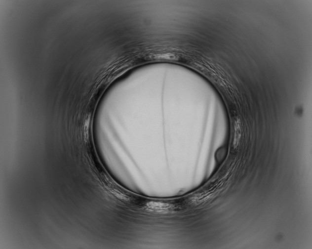 X0000099960699200806201337