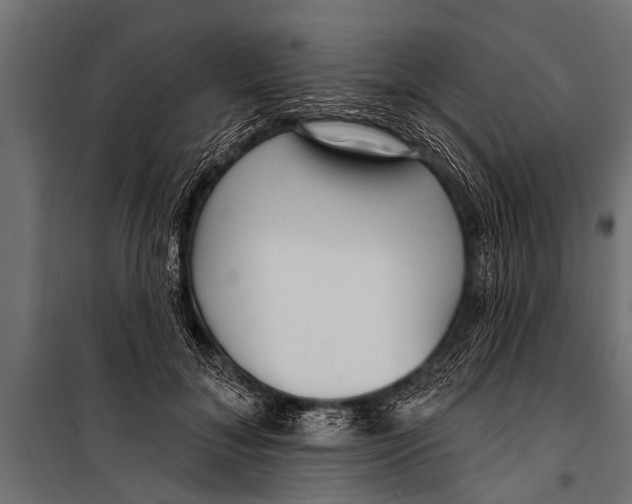 X0000099960700200806201337