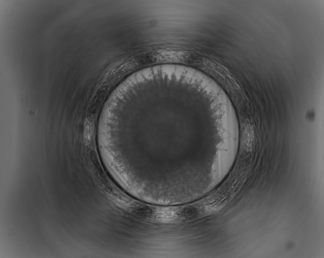 X0000099960701200806201337