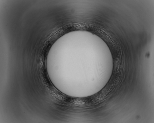 X0000099960702200806201337
