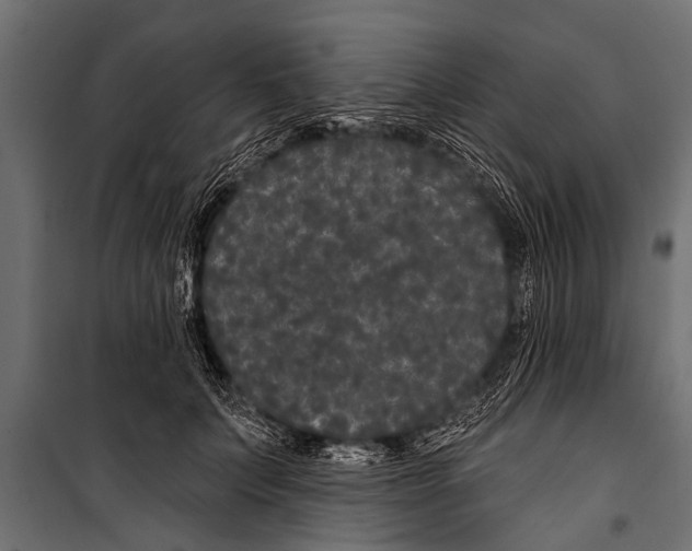 X0000099960703200806201337