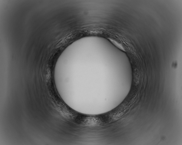 X0000099960704200806201337