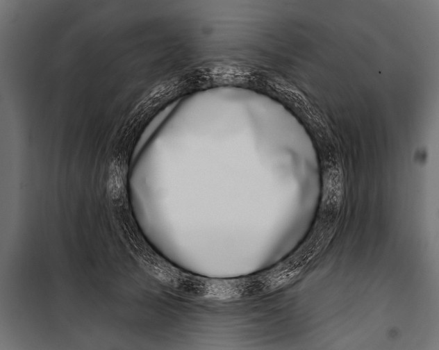 X0000099960705200806201337