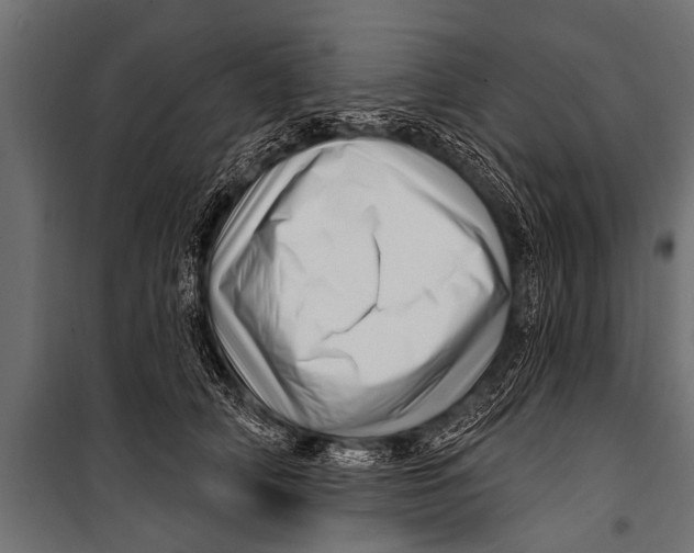 X0000099960706200806201337