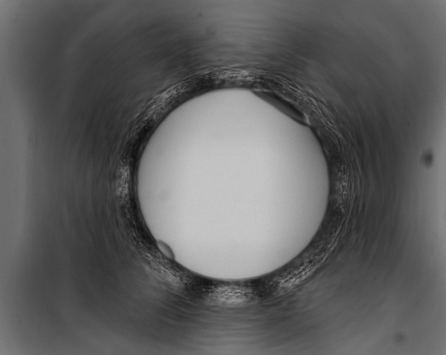 X0000099960708200806201337