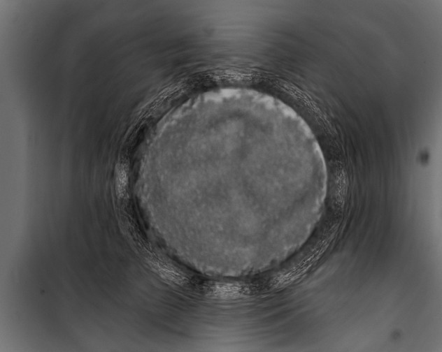 X0000099960709200806201337