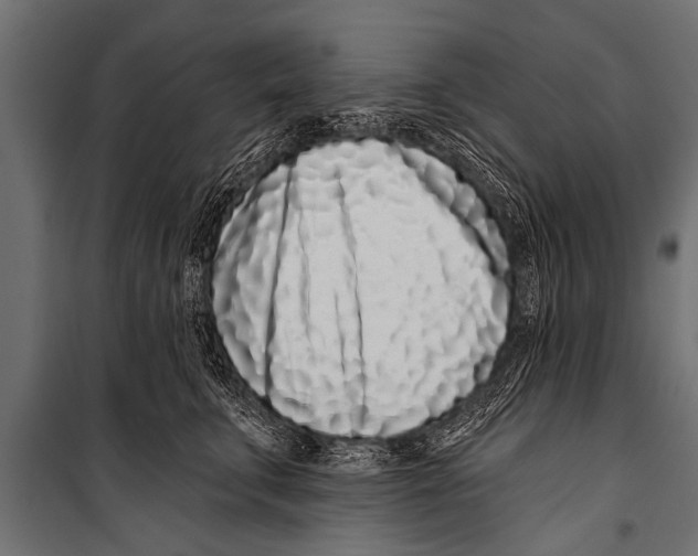 X0000099960711200806201337