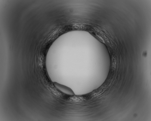 X0000099960712200806201337