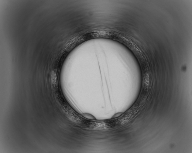 X0000099960715200806201337