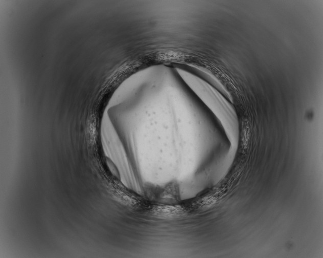 X0000099960716200806201337