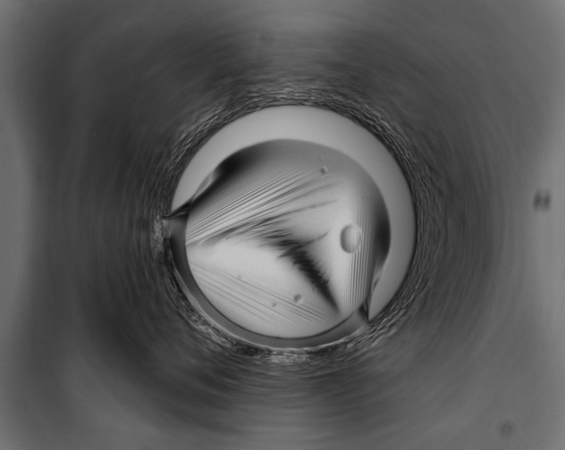 X0000099960720200806201337