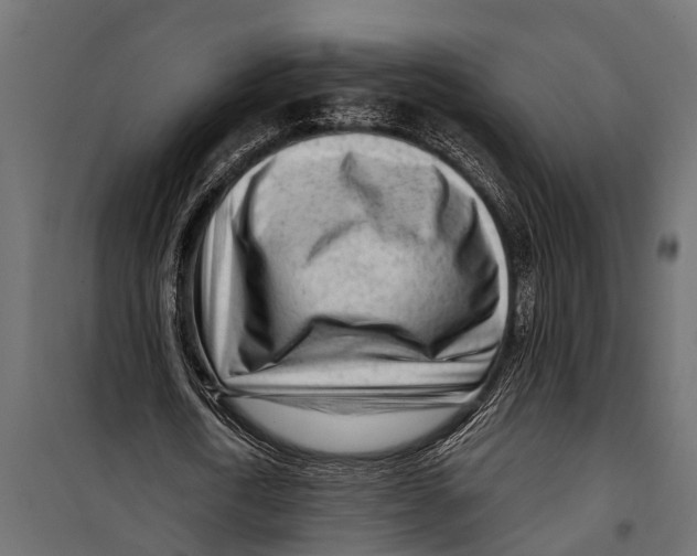 X0000099960722200806201336