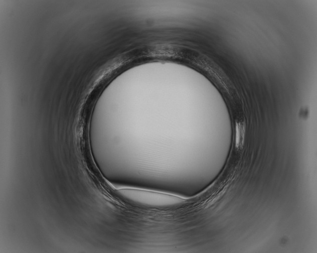 X0000099960723200806201336