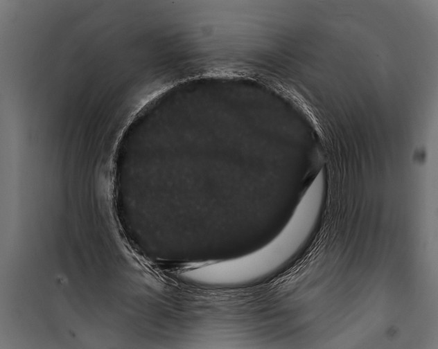 X0000099960724200806201336