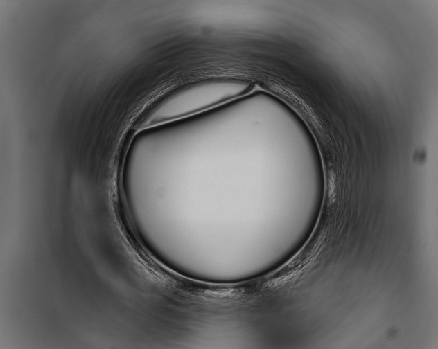X0000099960725200806201336