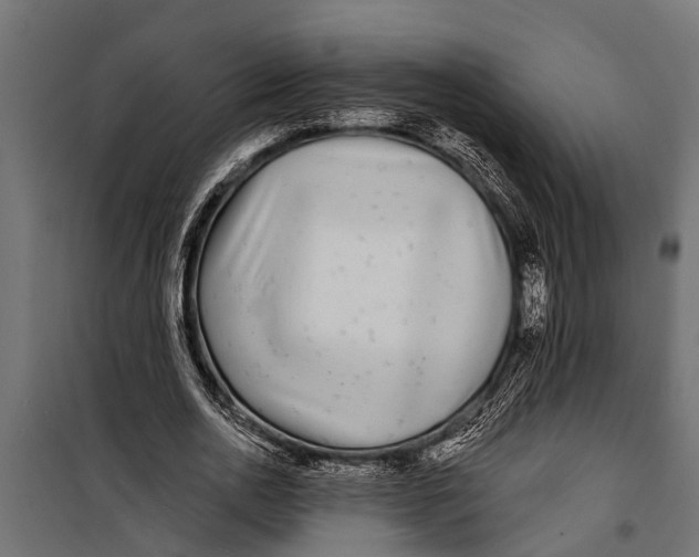 X0000099960726200806201336