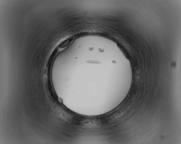 X0000099960727200806201336