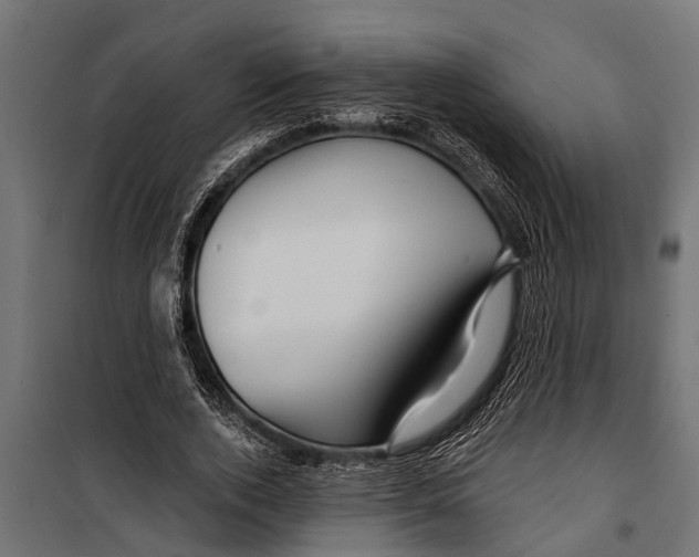 X0000099960728200806201336