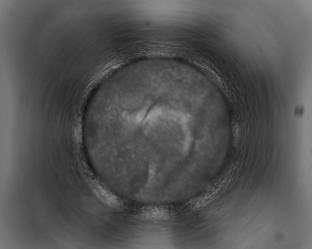 X0000099960729200806201336