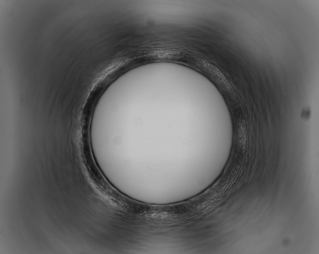 X0000099960730200806201336