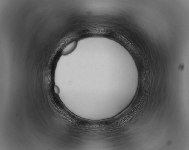 X0000099960731200806201336