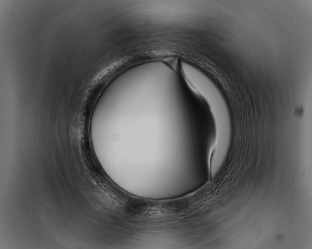 X0000099960732200806201337