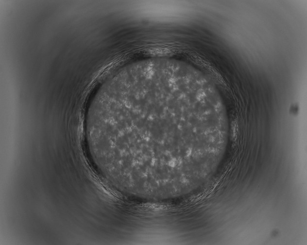 X0000099960733200806201337