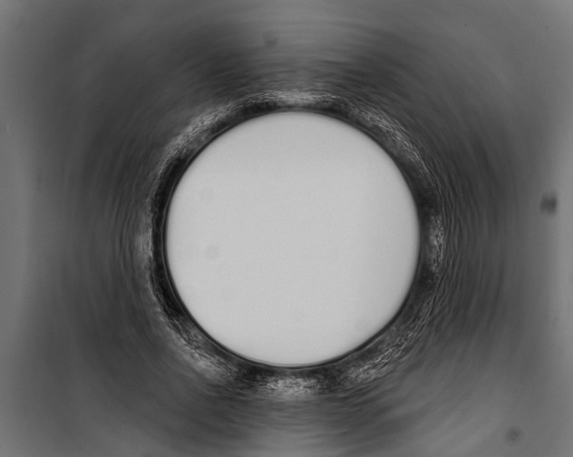 X0000099960734200806201337