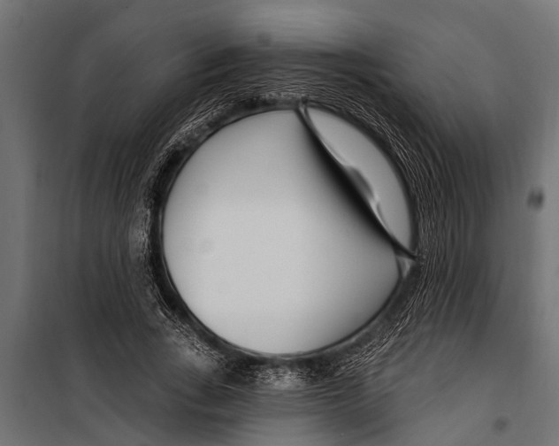 X0000099960735200806201337