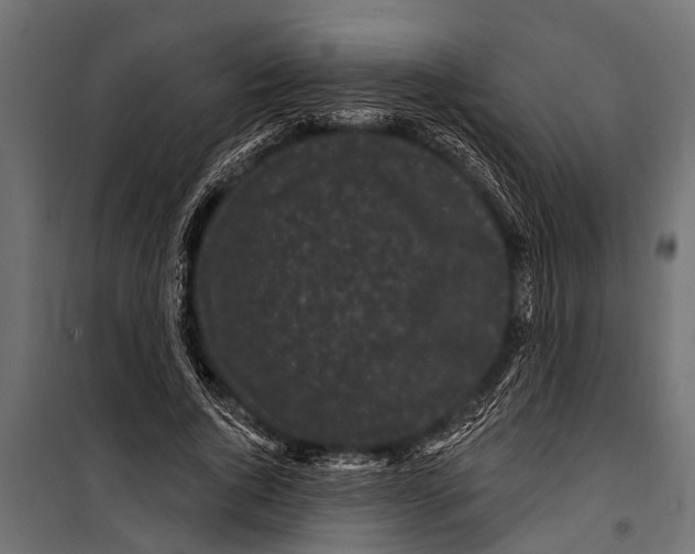 X0000099960736200806201337