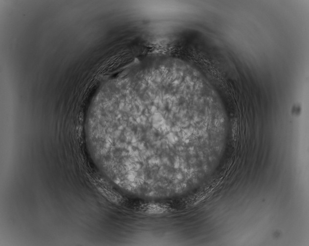 X0000099960737200806201337
