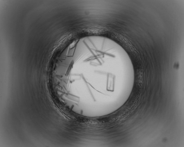 X0000099960738200806201337