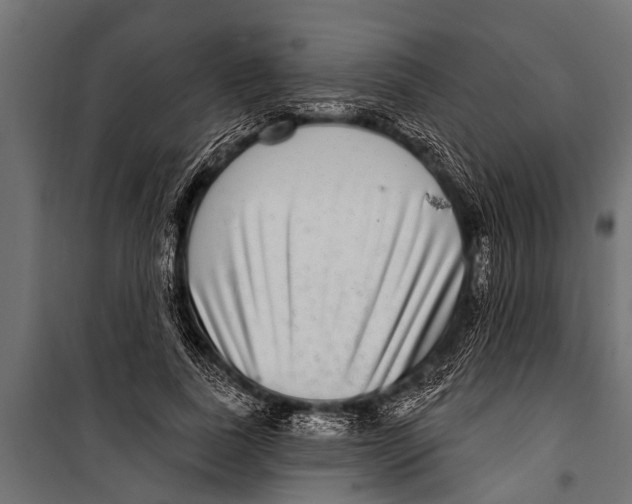 X0000099960739200806201337