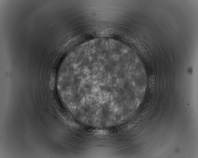 X0000099960741200806201337