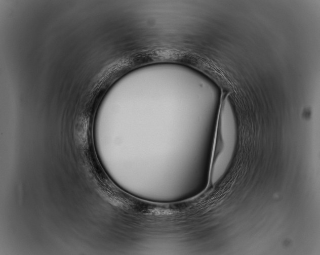 X0000099960742200806201337