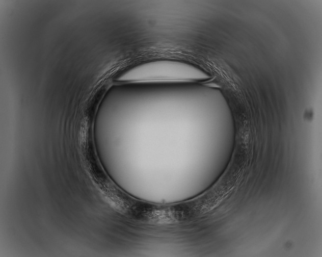 X0000099960744200806201337