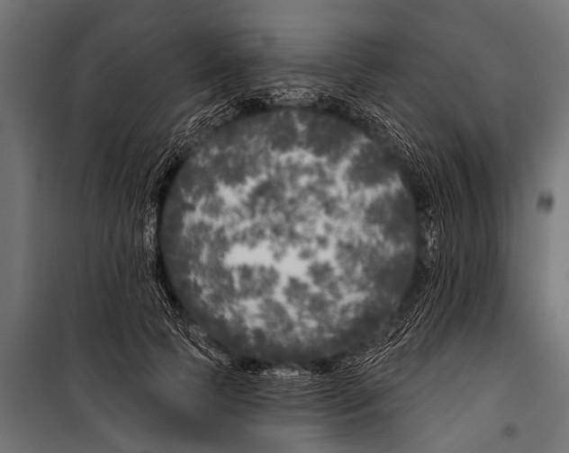 X0000099960745200806201337