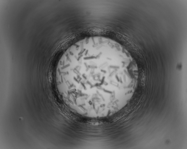 X0000099960746200806201337