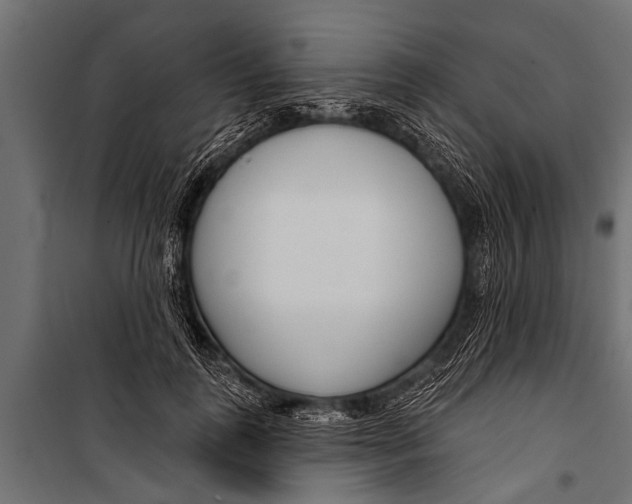 X0000099960747200806201337