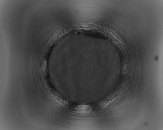 X0000099960748200806201337