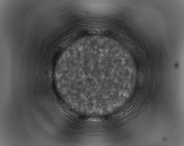 X0000099960749200806201337